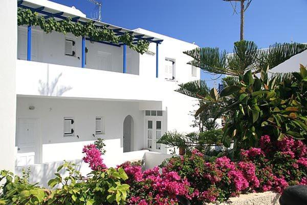 Loukia Apartments & Studios Науса Стая снимка